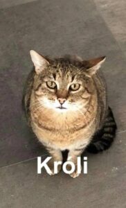 kroli
