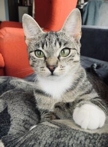 nala1