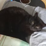 Fiona