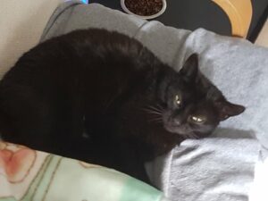 fiona