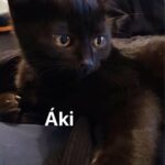 Áki Vesturlandi